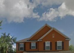 Pre-foreclosure in  Martins Run Tavares, FL 32778
