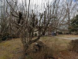 Pre-foreclosure in  Summit Ridge Rd Dandridge, TN 37725
