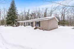 Pre-foreclosure in  Brink Trl Gaylord, MI 49735