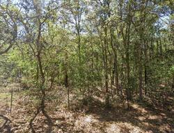 Pre-foreclosure in  S Tropicana Ave Lecanto, FL 34461