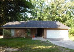 Pre-foreclosure in  WOODY PATH LN Atlanta, GA 30349