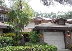  Sequoia Ter # 1302, Palm Harbor FL
