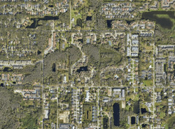 Pre-foreclosure in  FANCY FINCH DR UNIT 102 Tampa, FL 33614
