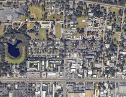  Red Cedar Pl, Brandon FL