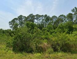 Pre-foreclosure in  Gerona Ave Sebring, FL 33872
