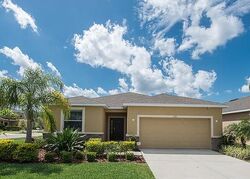 Pre-foreclosure in  Lauren Manor Loop Ruskin, FL 33570