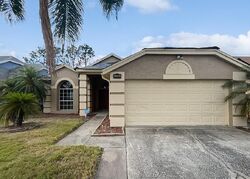 Newt St, Orlando, FL