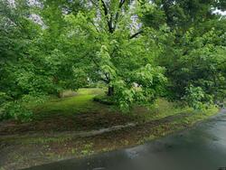 Pre-foreclosure in  Swan Landing Ct Burke, VA 22015