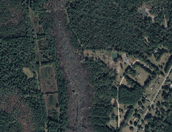 Pre-foreclosure in  Alton Way Cottageville, SC 29435