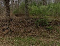 Pre-foreclosure in  Hamburg Rd Bakersville, NC 28705