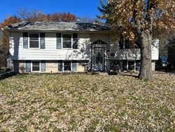 Pre-foreclosure in  E Maple Dr Glenwood, IL 60425