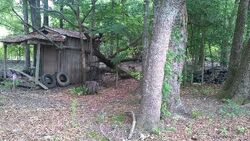 Pre-foreclosure in  Oakview Church Post Rd Donalsonville, GA 39845