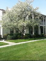 Pre-foreclosure in  Griggs Pl East Brunswick, NJ 08816