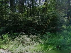 Pre-foreclosure in  Hollow Rd Delta, PA 17314