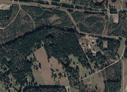 Strickland Springs R, Marshall TX