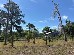 Pre-foreclosure in  Ne Blackberry Way Pinetta, FL 32350