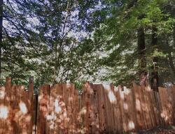  Lum St, Weott CA