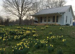  Old Red Top Rd, Indian Mound TN