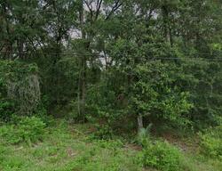  E Muzzle Loaders Ct, Inverness FL