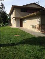 Pre-foreclosure in  PEPPERTREE CT  Antioch, CA 94509
