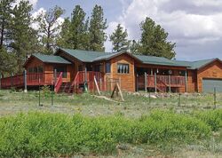 Pre-foreclosure in  Carriage Dr Florissant, CO 80816