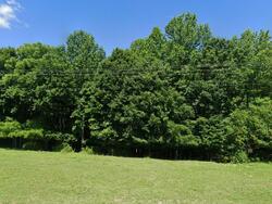 Pre-foreclosure in  Caldwell Ridge Rd Knifley, KY 42753