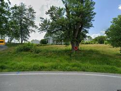 Pre-foreclosure in  Sunset Rd Hillsboro, KY 41049