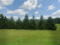 Pre-foreclosure in  Fish Lake Rd North Branch, MI 48461