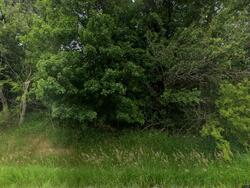 Pre-foreclosure in  Price Rd Laingsburg, MI 48848