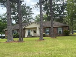 Pre-foreclosure in  Hutchinson Cemetary Rd Albany, LA 70711