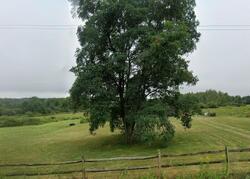 Pre-foreclosure in  Cayward Rd Prattsburgh, NY 14873