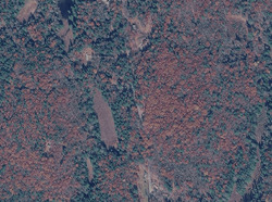 Pre-foreclosure in  Oxbow Rd Hinsdale, NH 03451