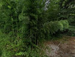 Pre-foreclosure in  Johnston Ave Bethlehem, PA 18015