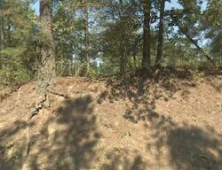 Pre-foreclosure in  Horse Creek Rd Winnsboro, SC 29180