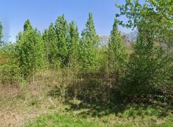 Jack Booe Rd, Mocksville NC