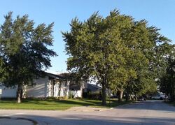 Pre-foreclosure in  92ND AVE Tinley Park, IL 60487