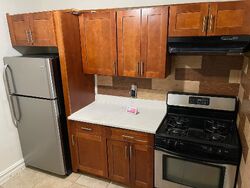 Pre-foreclosure in  Monticello Ave Bronx, NY 10466