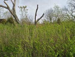 Pre-foreclosure in  Moorheadville Rd North East, PA 16428