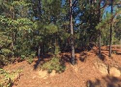 Pre-foreclosure in  Carey Rd Pelion, SC 29123