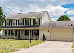 Pre-foreclosure in  Calvin Savoy, IL 61874