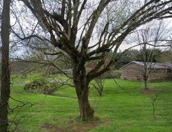 Pre-foreclosure in  Walnut Hill Rd Bristol, TN 37620