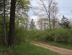 132nd Ave, Hopkins MI