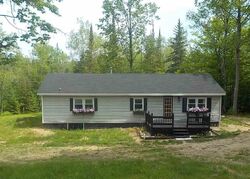 Pre-foreclosure in  Birch Dr Wolverine, MI 49799