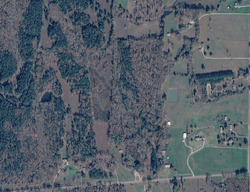 Pre-foreclosure in  Highway 57 Middleton, TN 38052