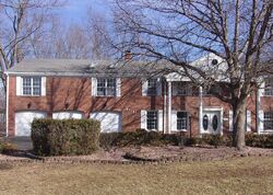Pre-foreclosure in  ALEXANDER ST Olympia Fields, IL 60461