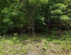 Pre-foreclosure in  Winton Chapel Rd Rockwood, TN 37854