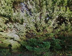 Pre-foreclosure in  Dry Valley Rd Radford, VA 24141
