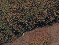 Pre-foreclosure in  Bug Rd Pounding Mill, VA 24637