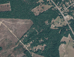 Pre-foreclosure in  Angela Puckett Ln Pelion, SC 29123