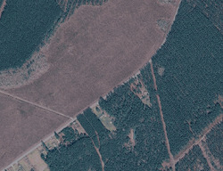 Pre-foreclosure in  County Line Rd Andrews, SC 29510